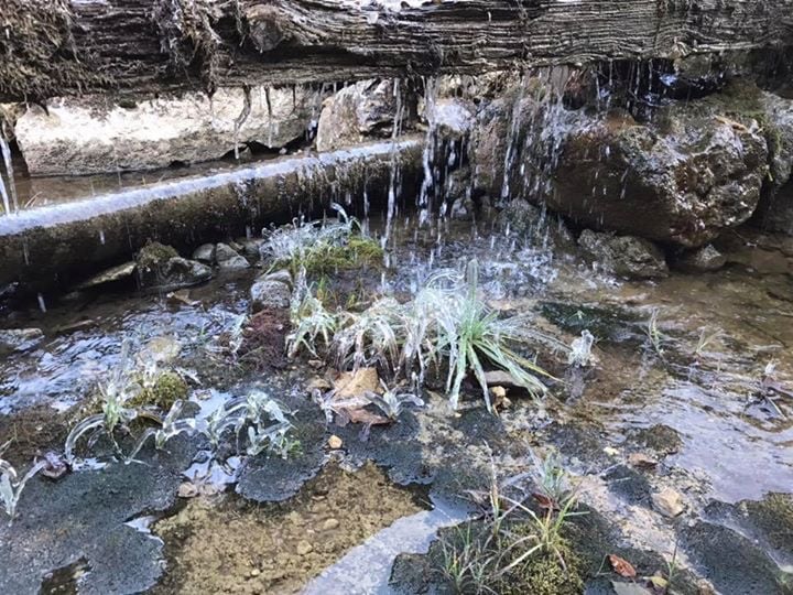 Water is observed gently cascading over a log and rocks, creating a serene natural setting. Small patches of green vegetation are highlighted near the water's edge, with droplets glistening from the flow. The scene conveys a sense of tranquility in nature.