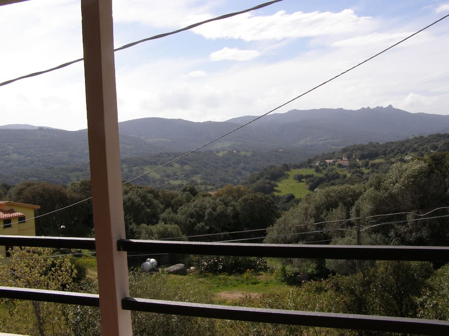 Questa è la vista della campagna in cui è immersa la casa