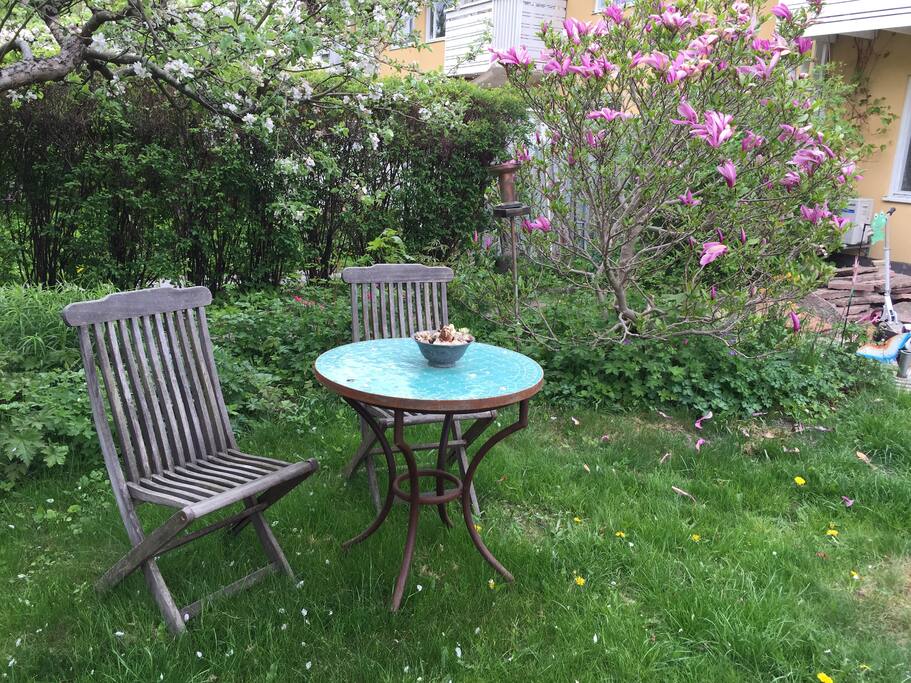 Cosy front yard