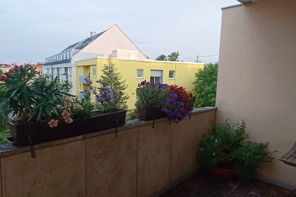Südbalkon