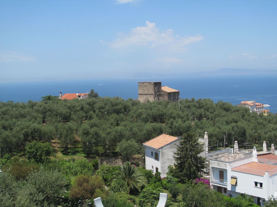 Vista