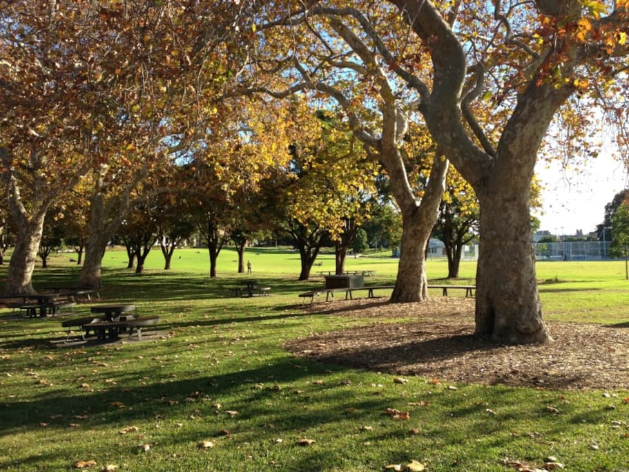 Prince Alfred Park is just across the road to enjoy