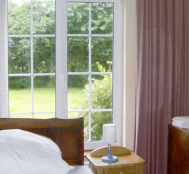 Blick in den Garten