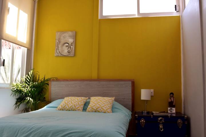 HOUSE INDIGO IN THE CEN. OF MEX CITY gallery image 4