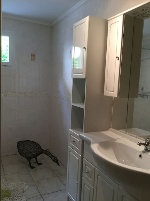 Grande salle de bain avec douche à l'italienne