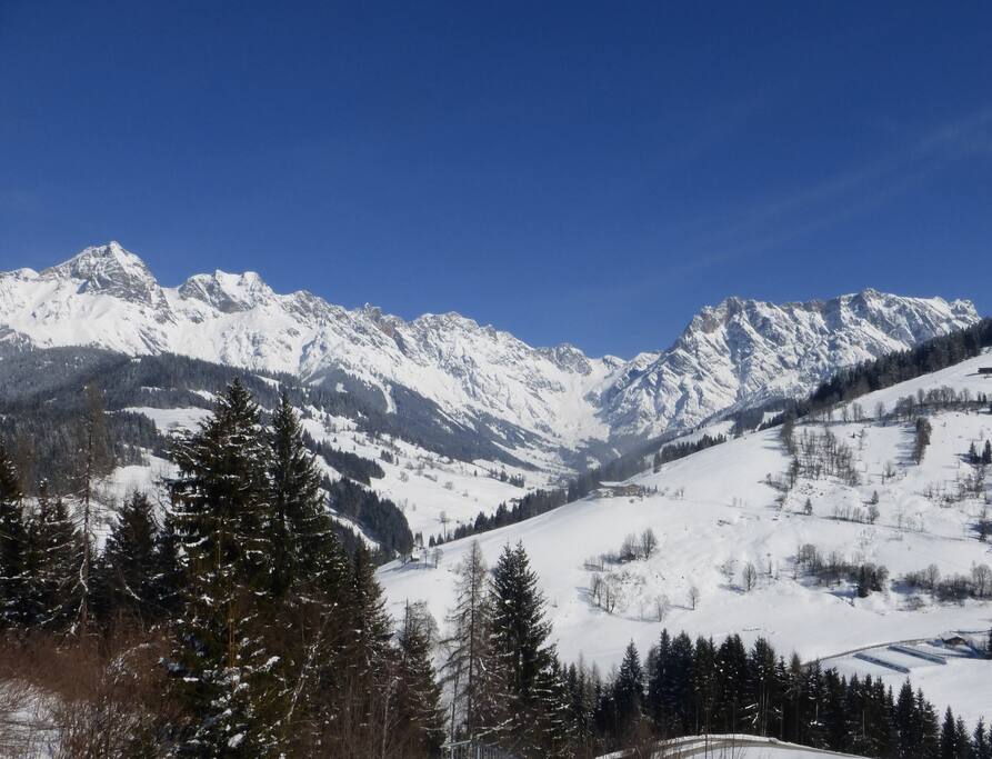 Blick vom Balkon