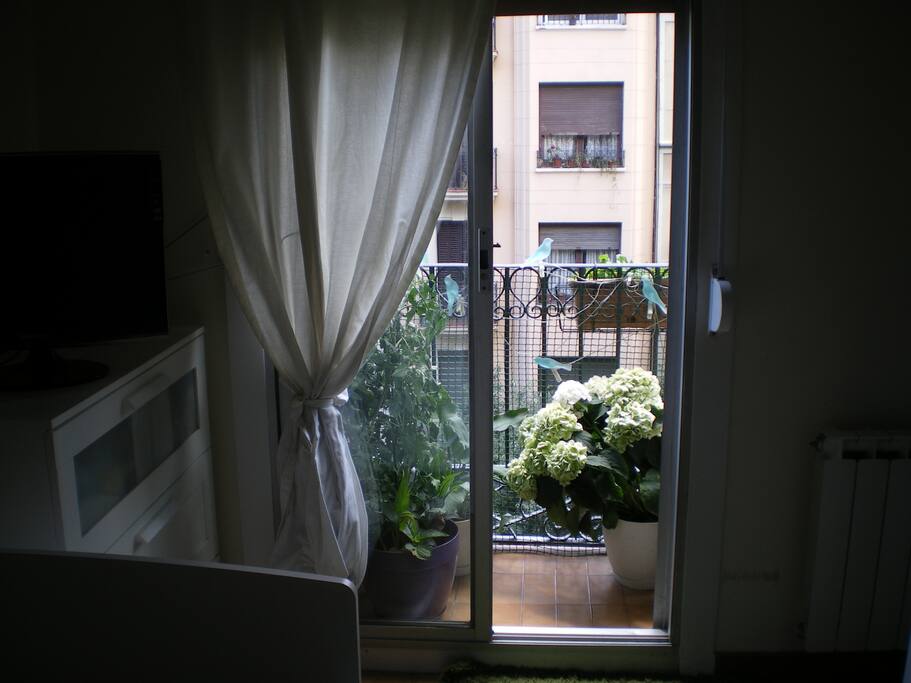Habitación con mucho claridad