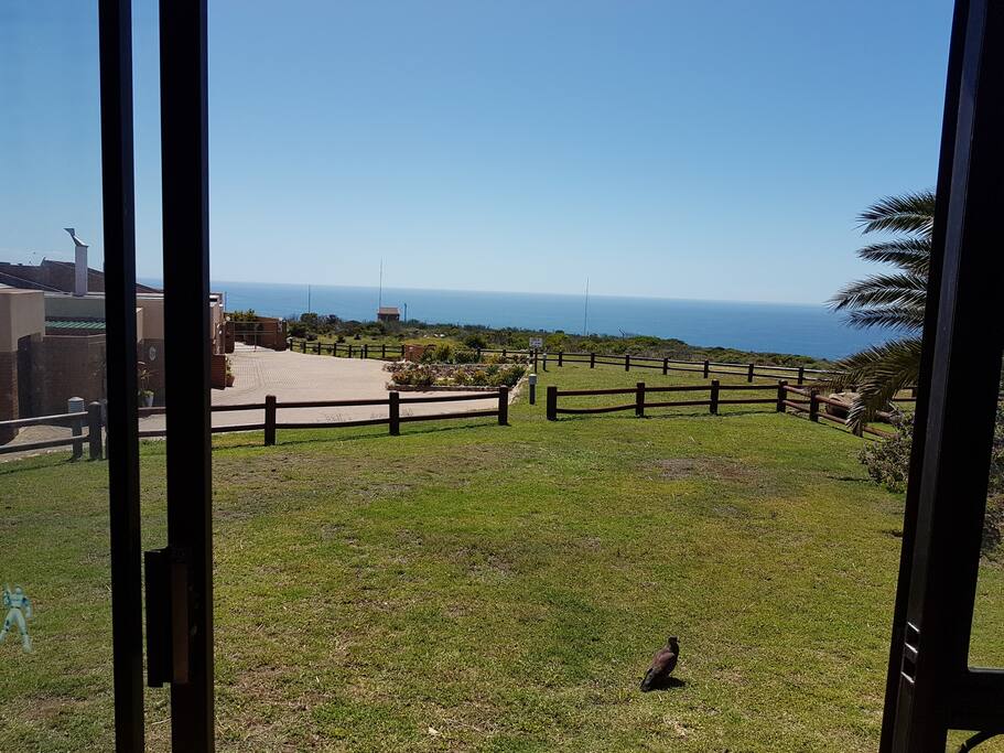 garden view from the sun room