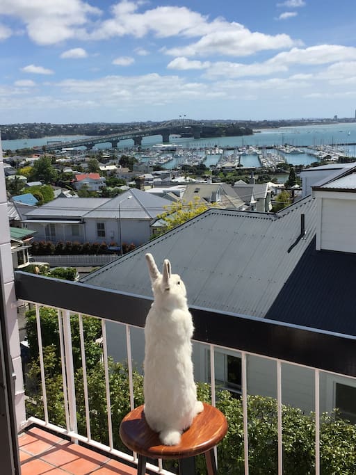 Alan enjoying the view