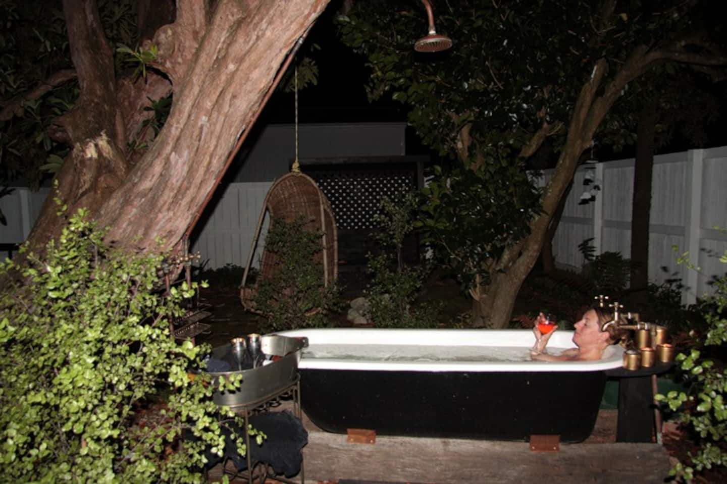 Karamea Nikau Palms  Retreat Cottage 1