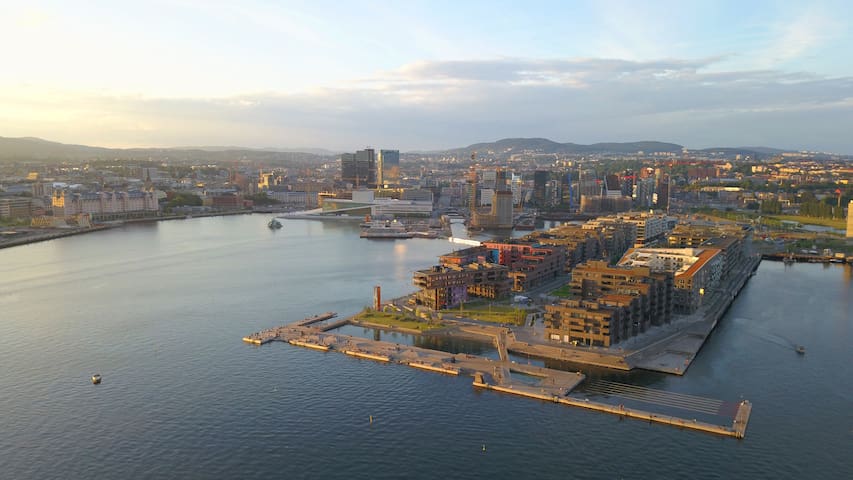 Oslo seaside apartment, City centre