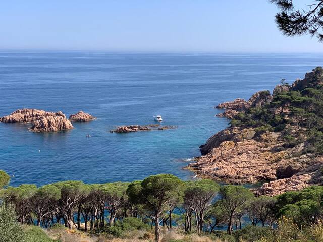 Sea view house with private pool and garden gallery image 2