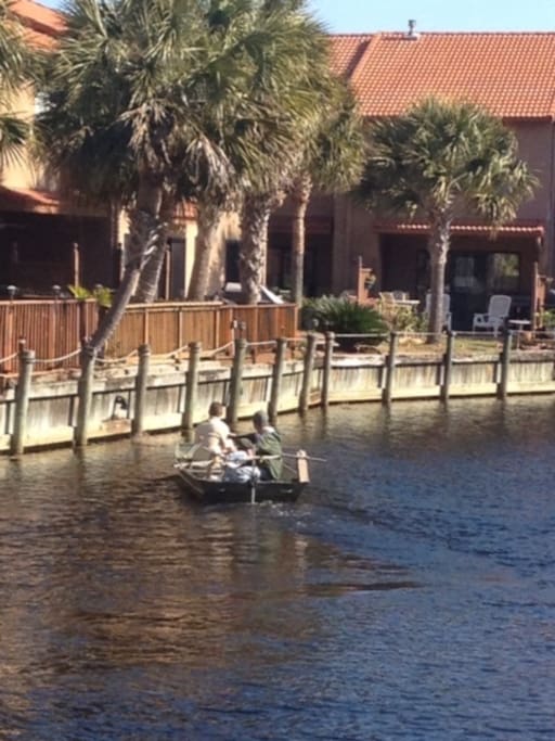 The canal behind the townhouse is full of fish and turtles. It is fun to feed them bread.