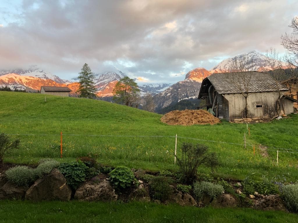 A serene landscape features rolling green fields and a rustic wooden barn, framed by majestic snow-capped mountains under a moody sky. The area is dotted with vibrant wildflowers and bordered by a low stone wall, inviting a peaceful outdoor experience.