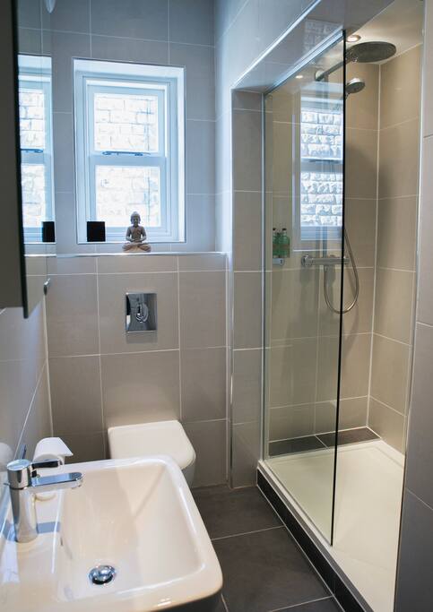 bathroom with walk in shower and rainfall shower head