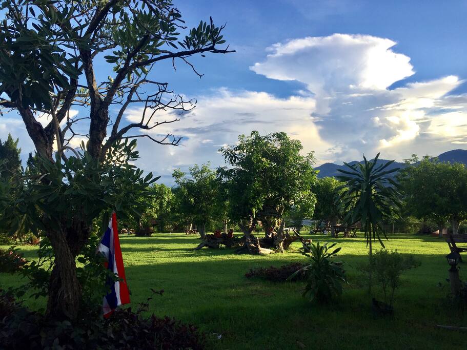 garden