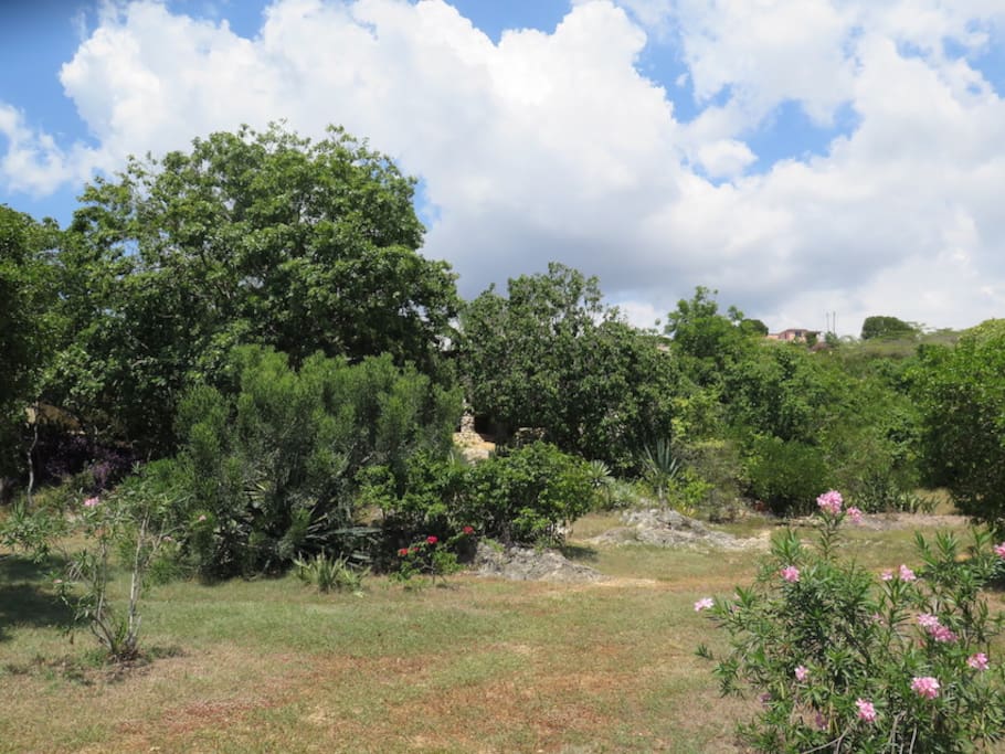 LIKKLE EDEN: towards the entrance of the house