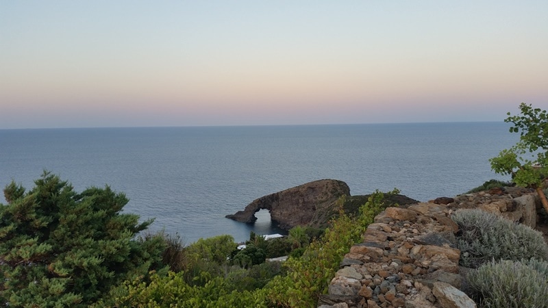 A coastal view captures the serene expanse of the sea meeting the horizon, with gentle waves lapping at a rocky arch. Lush greenery lines the foreground, framing the scene with diverse foliage and rocky textures, accentuating the natural beauty of the landscape.