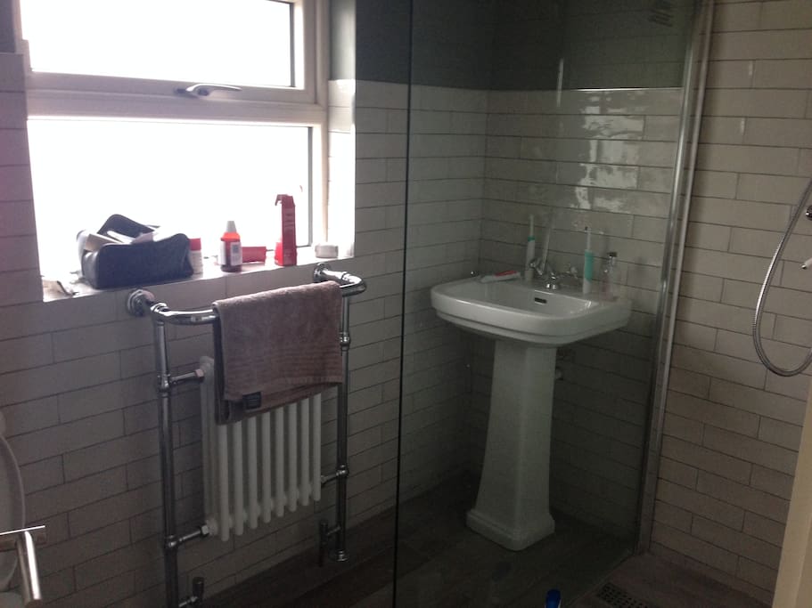 Large shower and traditional bath.