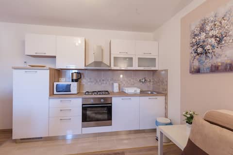 Apartment with 1 bedroom and kitchen/sleeping area