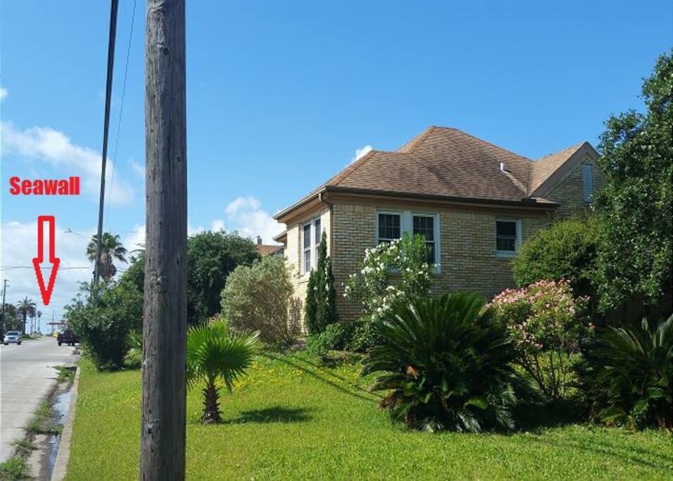 Yard,Fence,Hedge,Building,Cottage