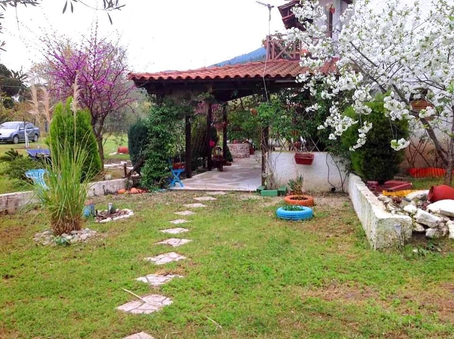 Garden of the summer house in Vourvourou