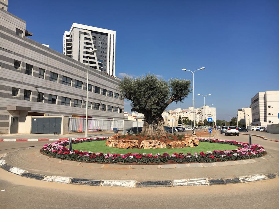 Street view: square, school, Synagogue and building