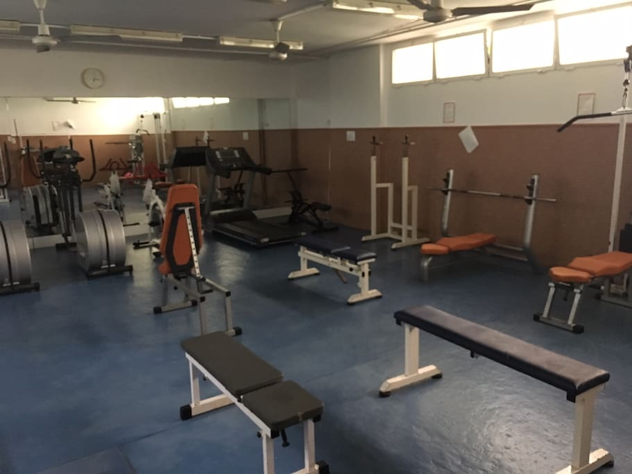 Gimnasio