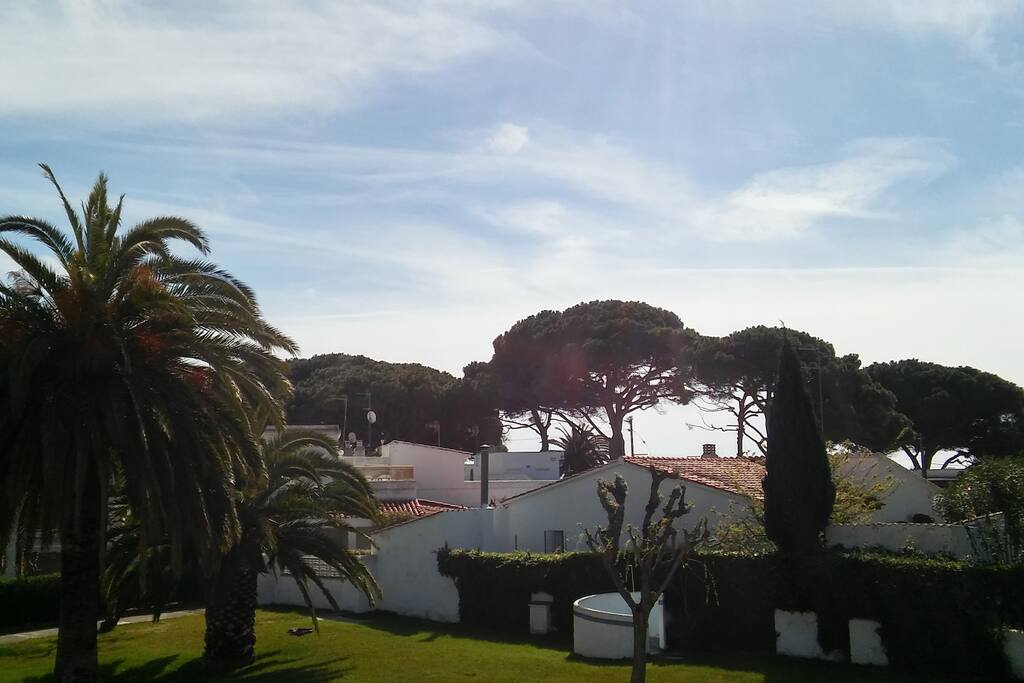 vistas