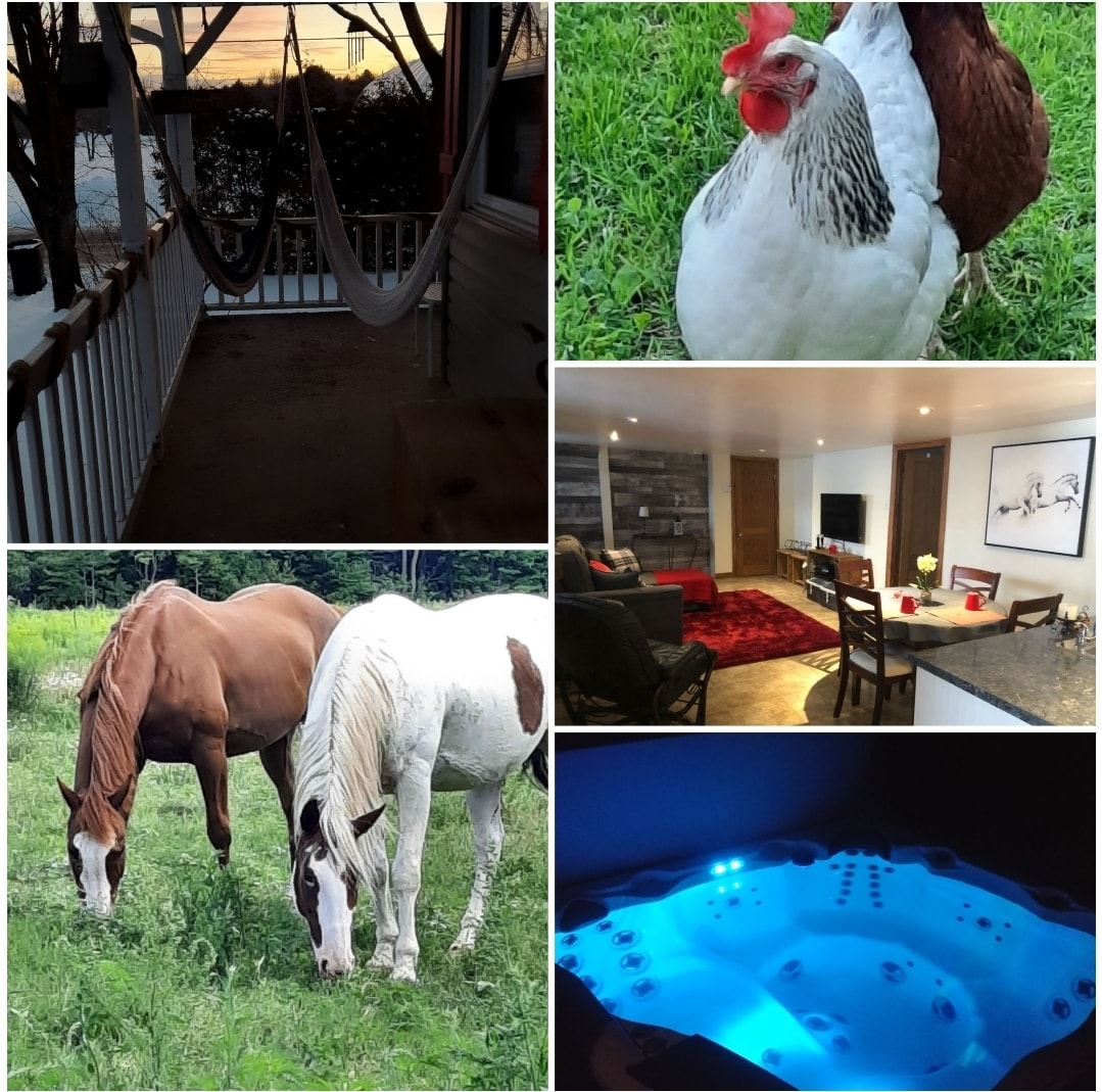 A serene outdoor space features a hammock suspended between posts, creating a relaxing spot to unwind. Nearby, a pair of chickens peck at the grass, while two horses graze in a fenced area. An inviting indoor living area offers comfortable seating and a dining table, complemented by a modern kitchen. A spa, illuminated softly, invites relaxation year-round.