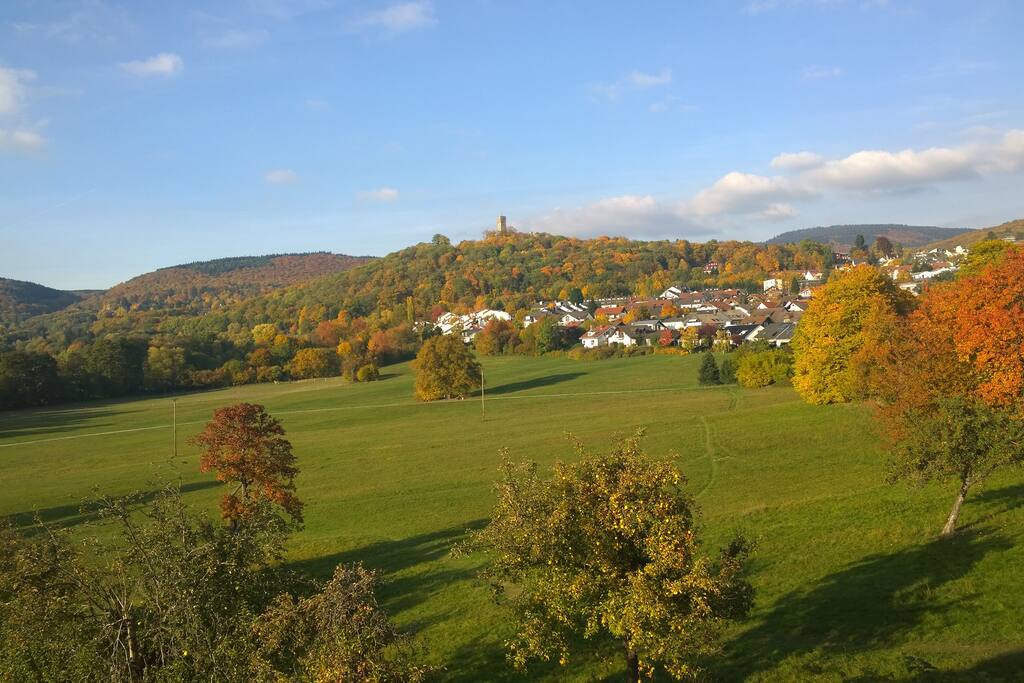 direkter Burgblick aus dem Fenster