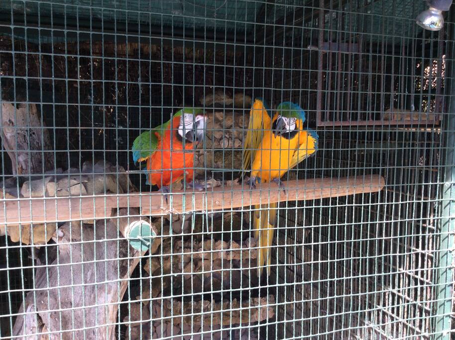 Garden friends