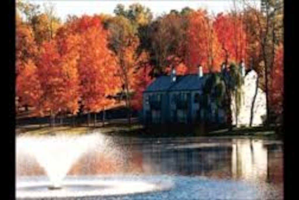 Tree Tops Villas, lake side in the Fall