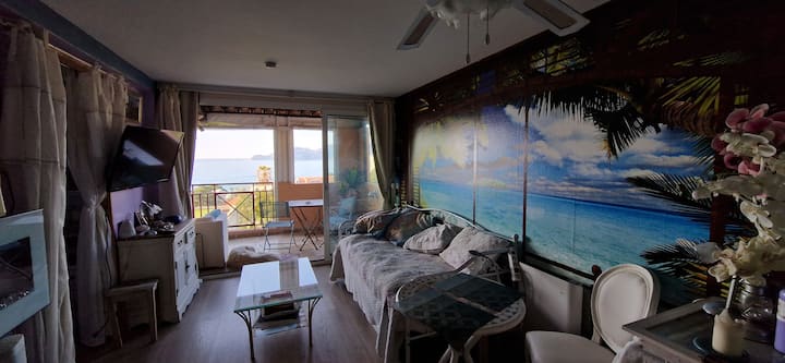 Cannes Vue Mer, Pisine, 2 Salles De Bain, Clim - Mougins