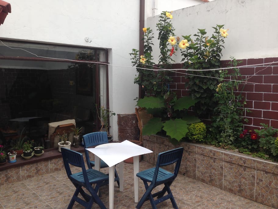 Patio interior