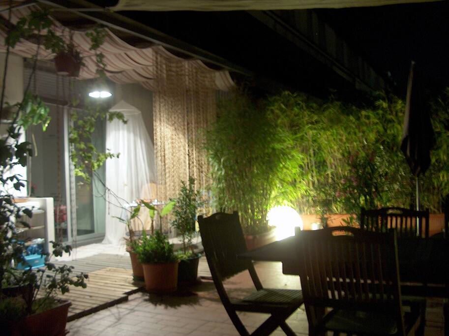 roof garden by night
