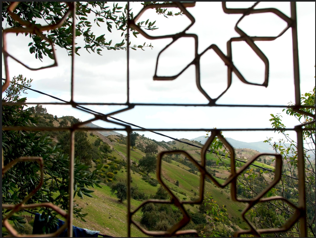 A view is captured through a decorative window frame, revealing a landscape of rolling hills and greenery. The hills are dotted with trees and shrubs, under a sky that appears partially cloudy.