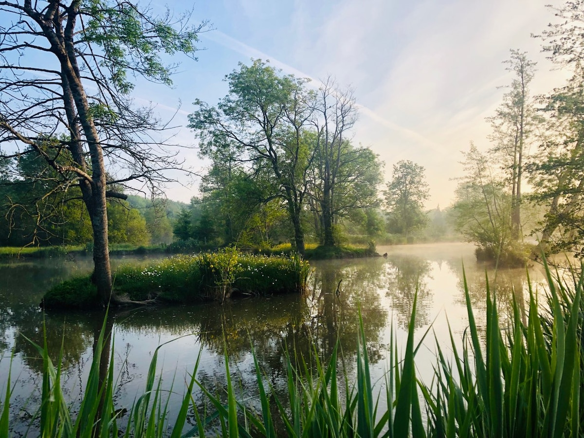 A serene landscape is depicted featuring a tranquil pond surrounded by lush trees. Mist hovers over the water's surface, while green foliage frames the scene. Gentle light filters through the trees, creating a calm and peaceful environment.