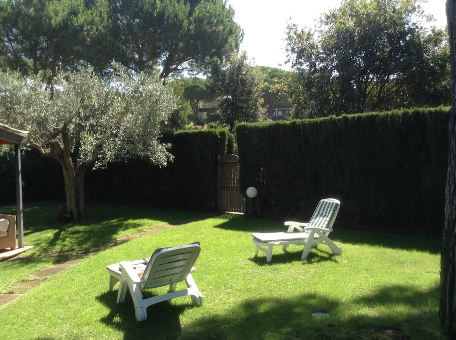 Scorcio del giardino ed entrata