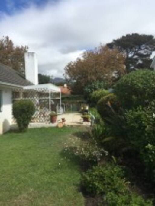the garden