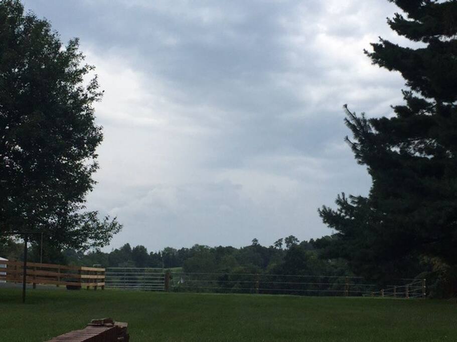 Horses live in the backyard