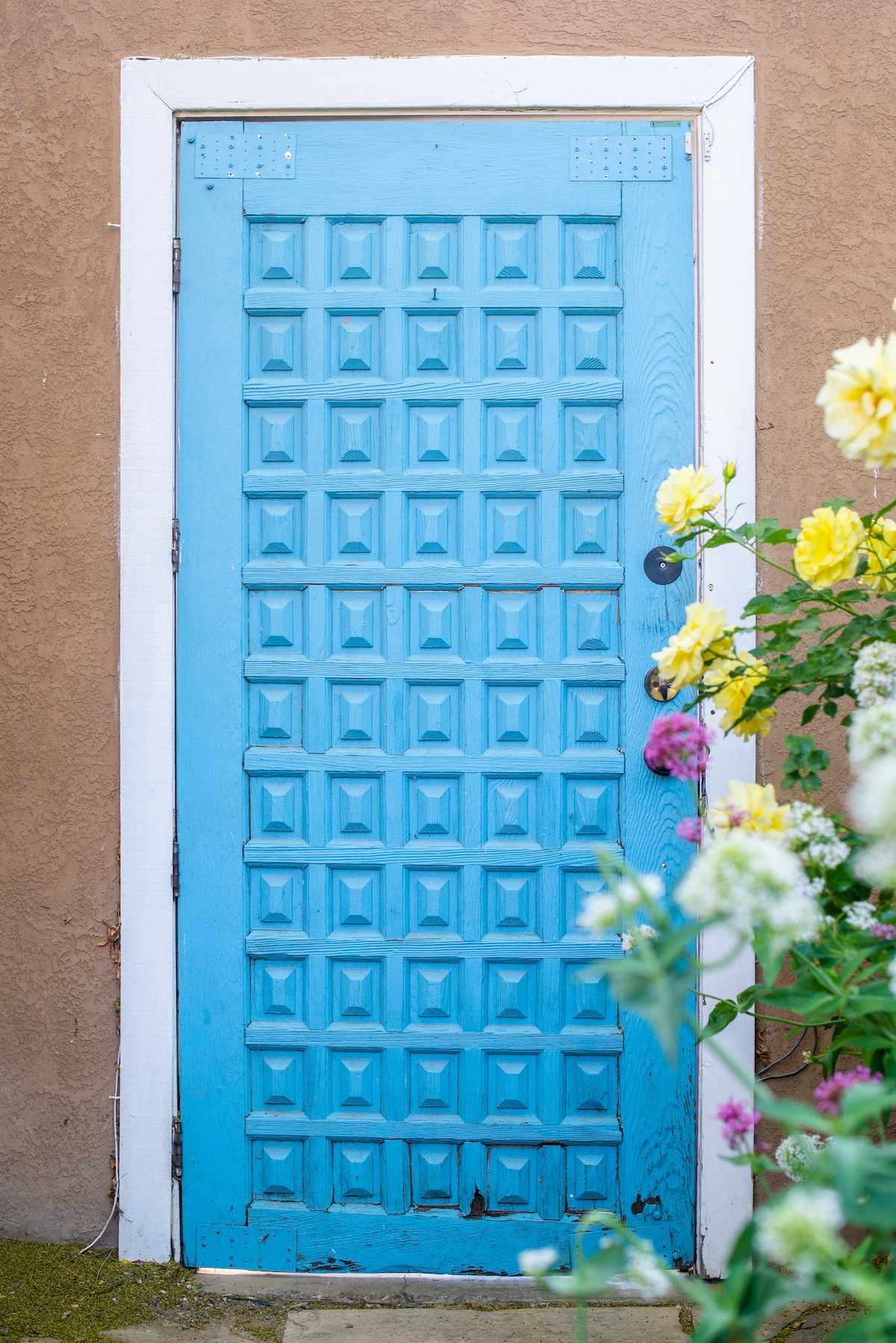 A vibrant blue door features a textured surface with a geometric pattern, framed by a white border. Surrounding it, blooming flowers in soft hues add a touch of color, enhancing the inviting appearance of the entryway.