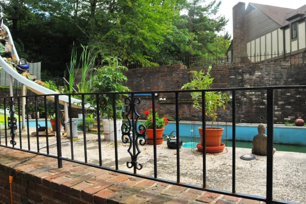 Pool converted to aquatic garden pond with large school of gold fish. Outdoor smoking area.