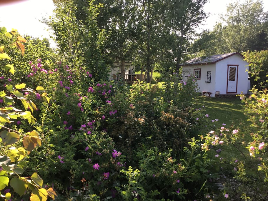 Gardens