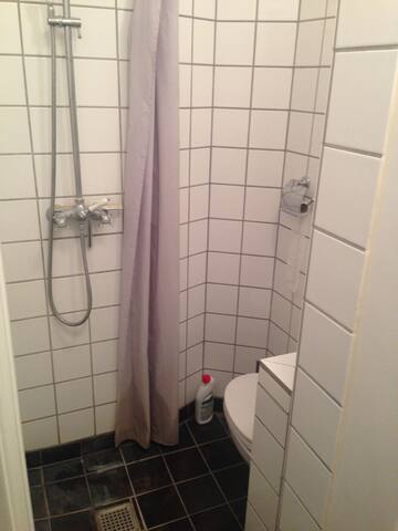 Large apartment in the heart of Copenhagen gallery image 5