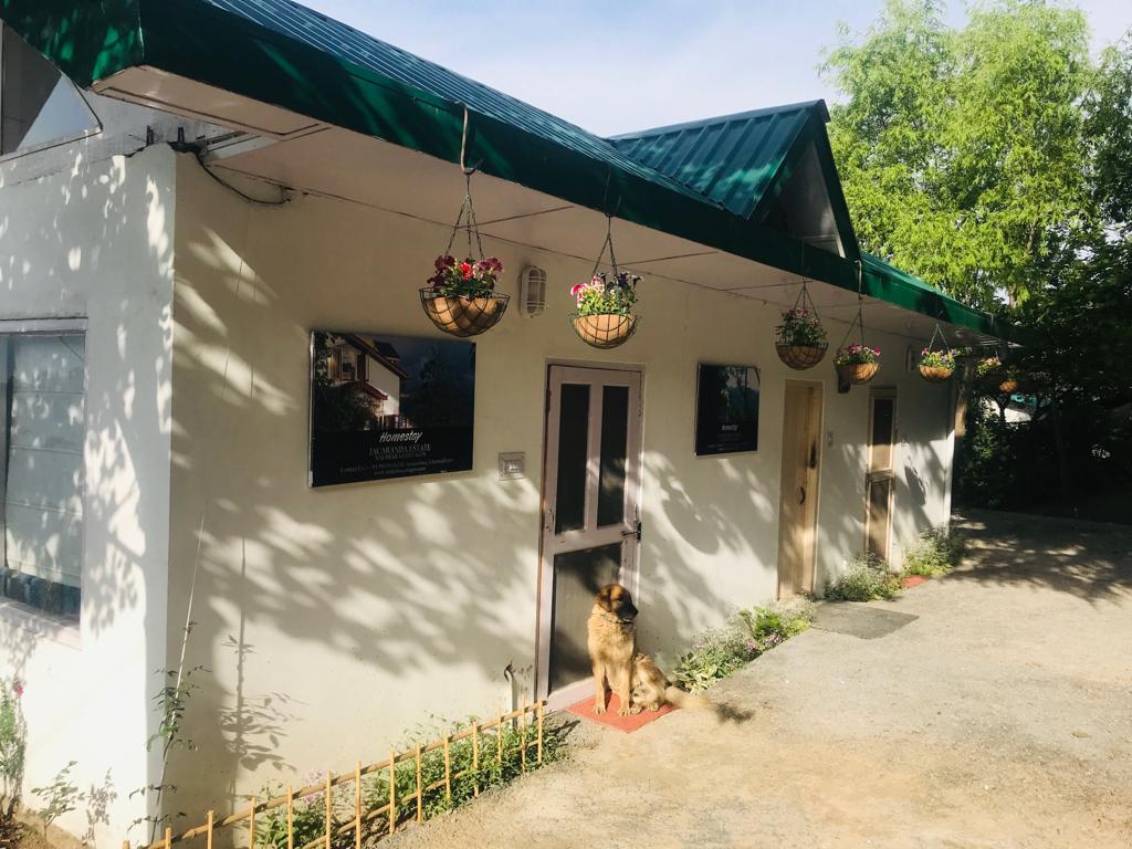 The exterior of a modest cottage is shown, featuring a green roof and a light-colored façade. Flower baskets hang from the eaves, adding a touch of color. A friendly dog rests on the doorstep, while lush greenery surrounds the entrance.