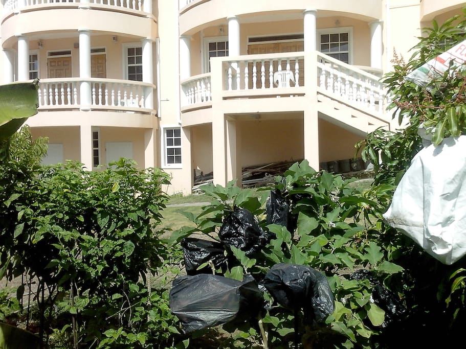 2-bedroom apartment - Atlantic Ocean View