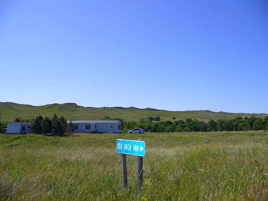 Odd Duck Inn Guesthouses for Rent in Kyle, South Dakota, United States