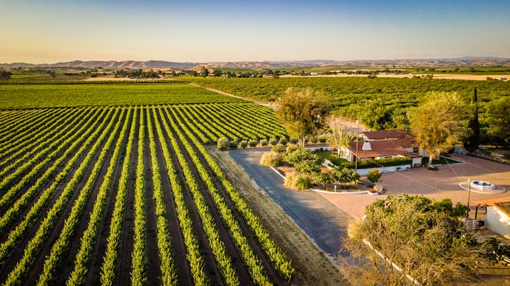 Buena Vista Farm - Paso Robles, CA