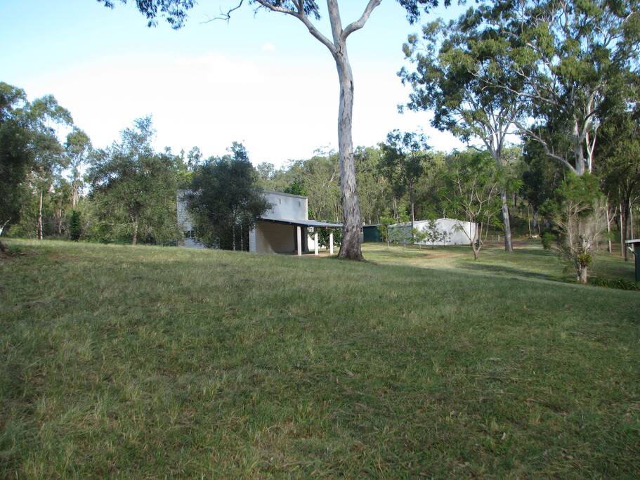 Flat/Shed